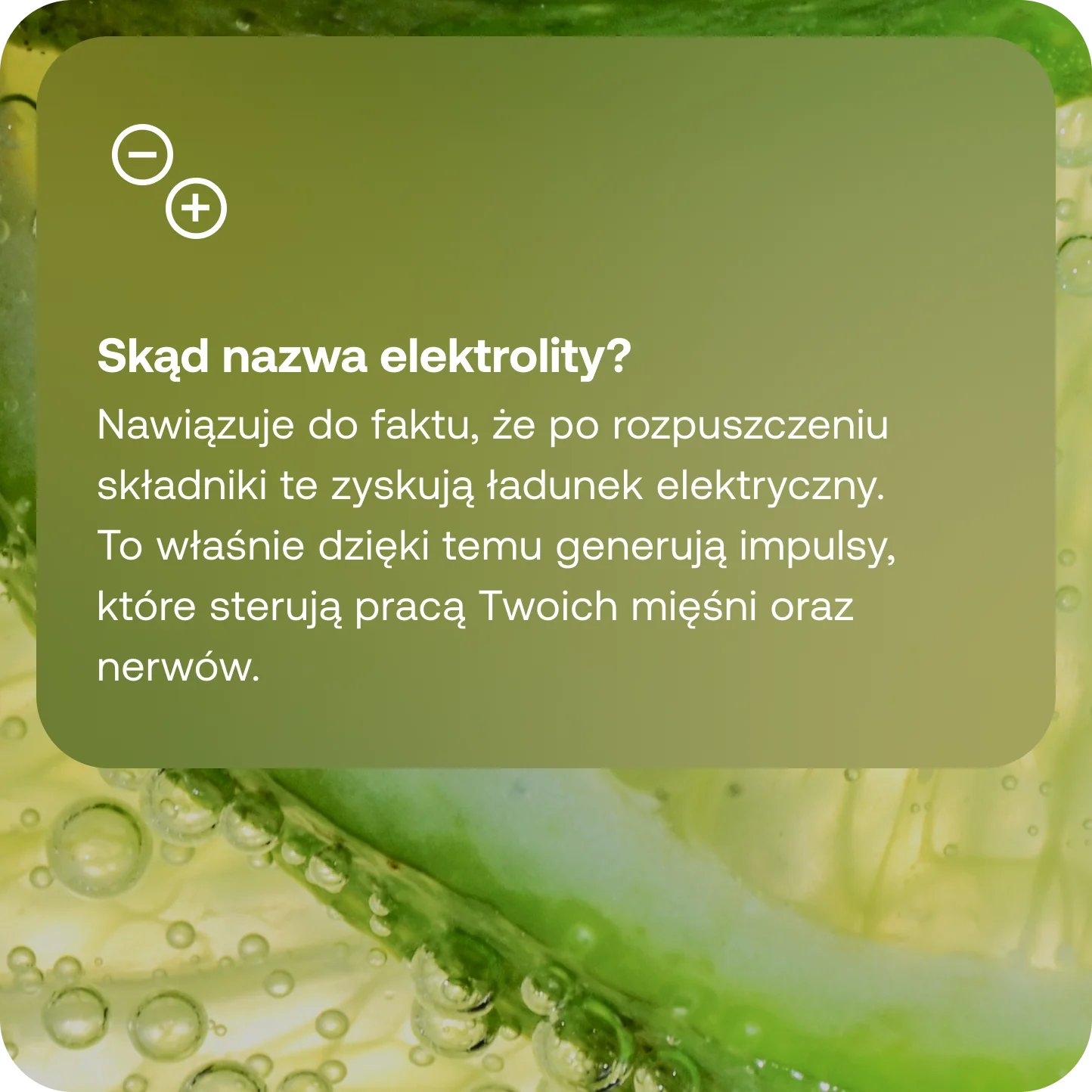 Pure Hydration bez dodatku cukru Cytryna + Limonka - Image 5