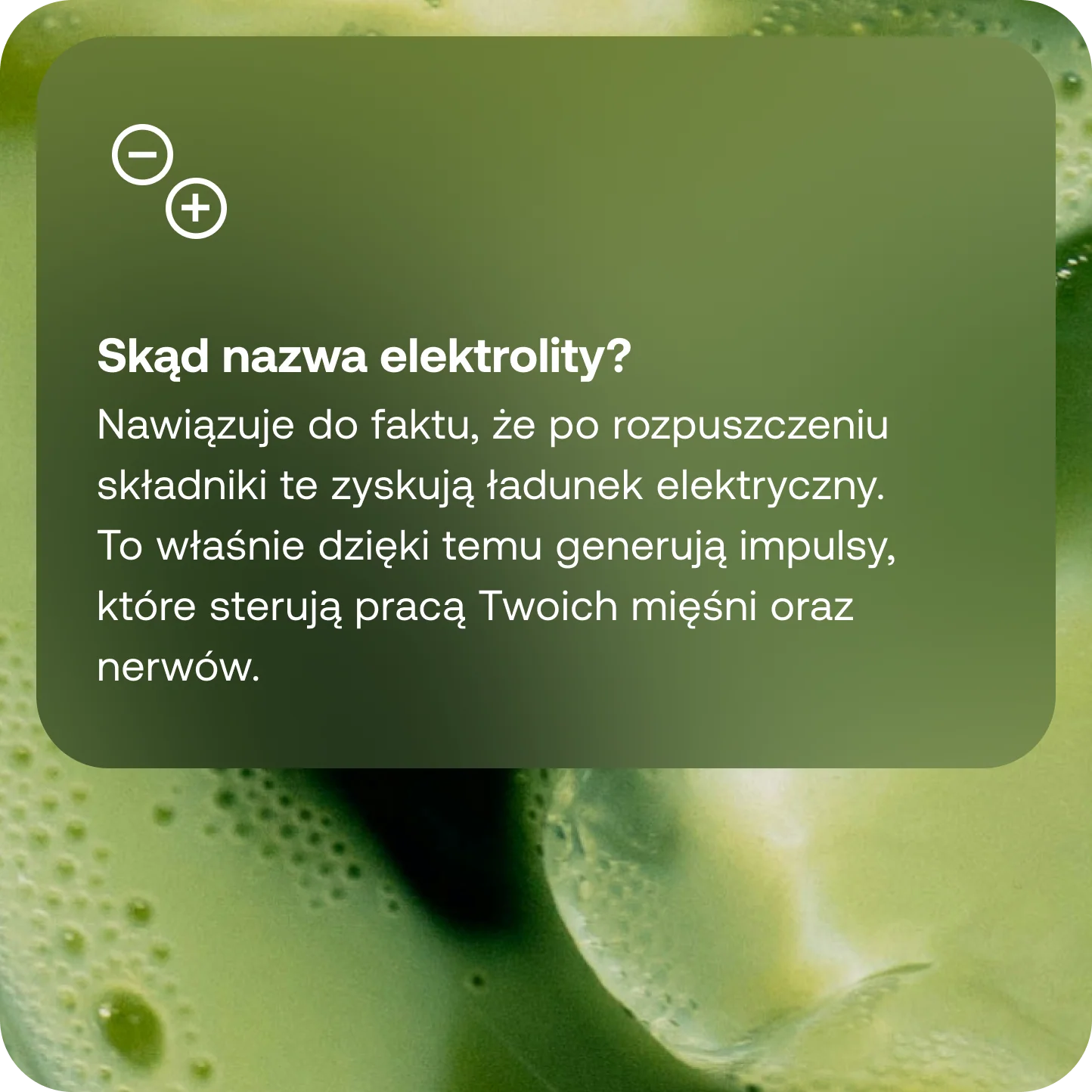 Pure Hydration Matcha - Image 5